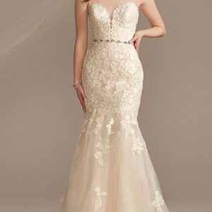 Oleg Cassini Lace Wedding Dress (white with soft pink underlayer)